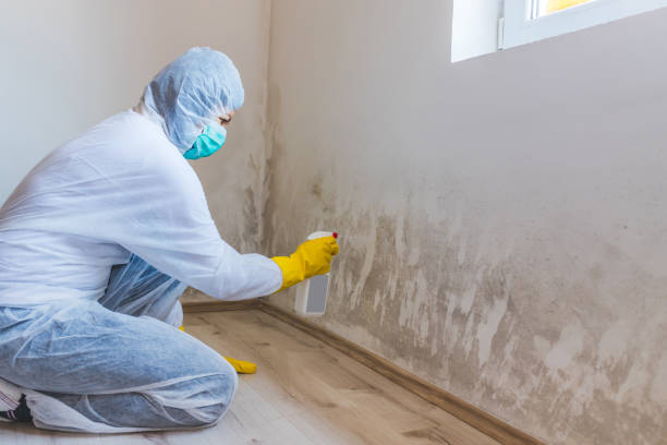 Bathroom Mold Removal assessment in Freeman bathroom